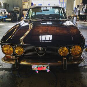 Alfa Bertone